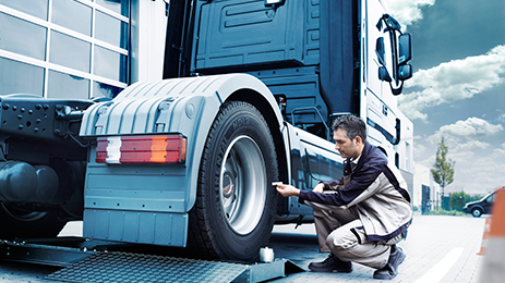 Revisión periódica